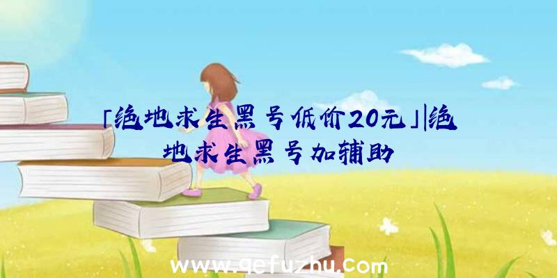 「绝地求生黑号低价20元」|绝地求生黑号加辅助